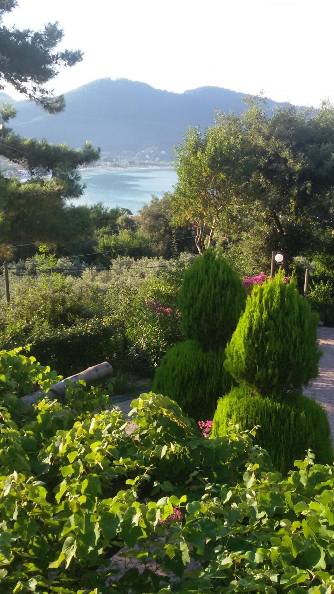 Villa Dimitra Skala Potamia  Exterior photo