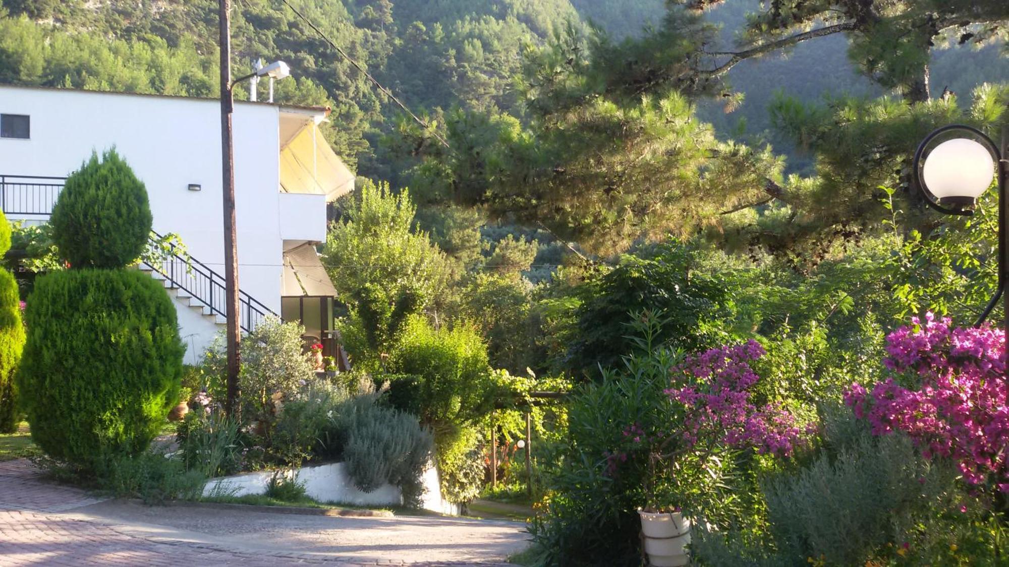 Villa Dimitra Skala Potamia  Exterior photo