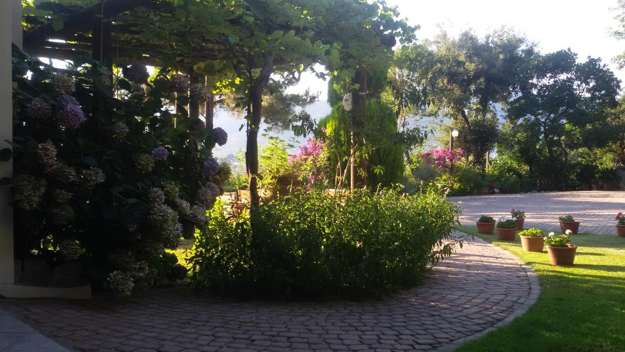 Villa Dimitra Skala Potamia  Exterior photo