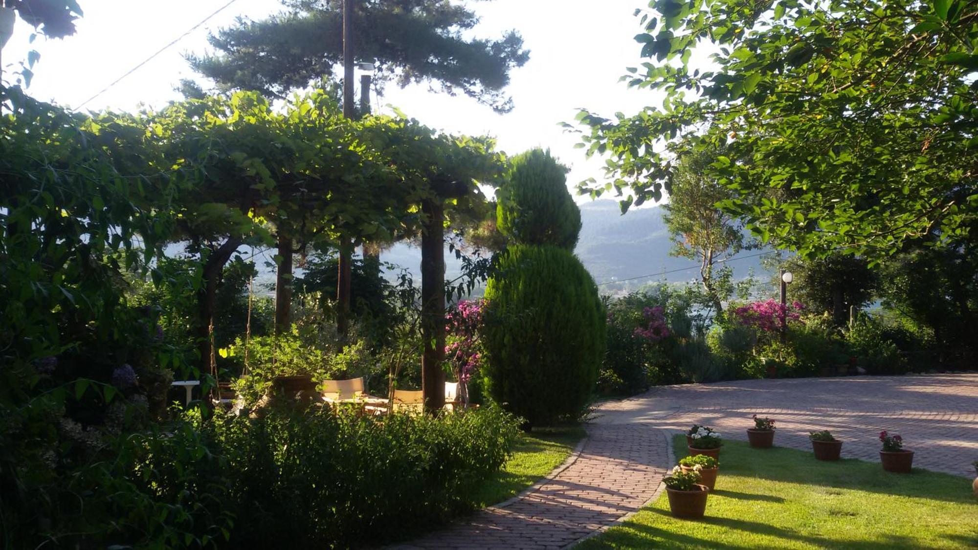 Villa Dimitra Skala Potamia  Exterior photo